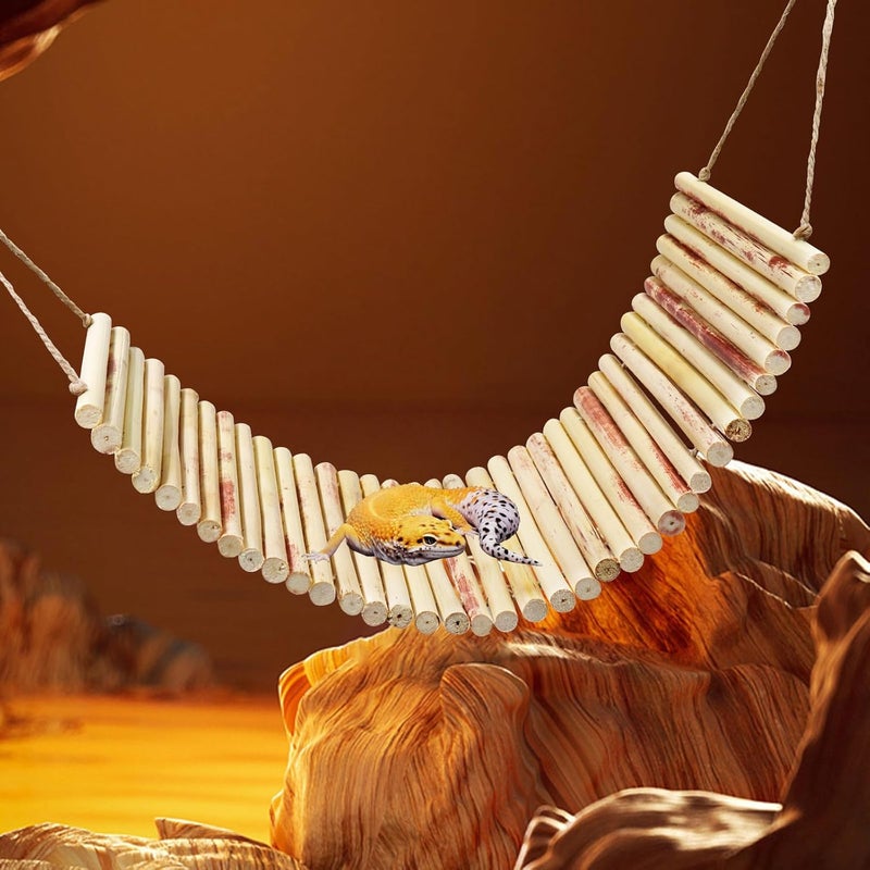 Neeenn Lizard Climbing Toys, Natural Material Reptile Ladder Bridge Toys, Reptile Tank Accessories, Suitable for Lizard Bearded Dragon Hermit Crab Bird Parrot Snake 16.1 x 6.7 Inches - Image 4